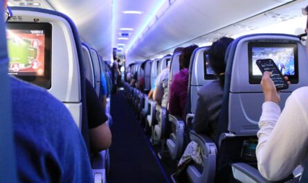 flight, airplane, passengers, plane, airbus, airplane interior, transport, transportation, aviation, flight, airplane, airplane, airplane, airplane, airplane, plane, plane, plane